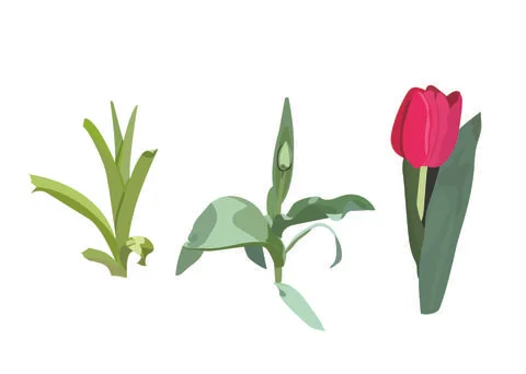 Print Stock Illustration