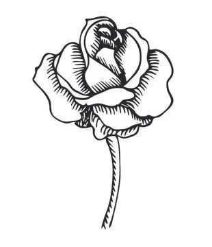 Print Stock Illustration