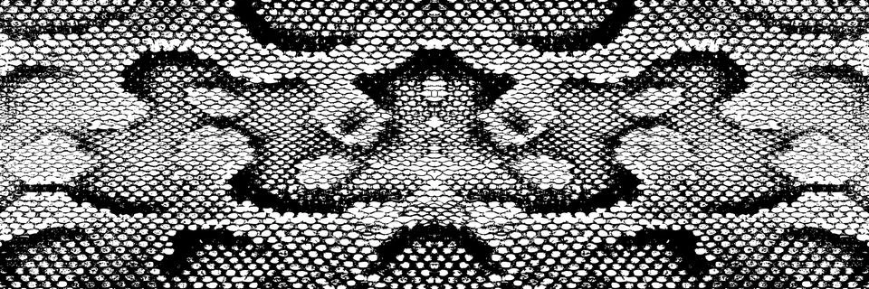 Print skin snake texture pattern boa black white 스톡 일러스트