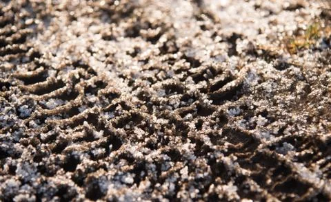 The print of wheel Stock Photos