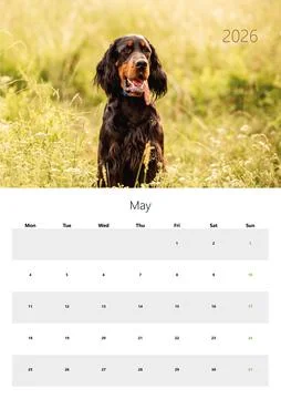 Printable A3 Wall Calendar For May 2026 Stock Photos