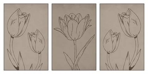 Printable botanical illustration. Rustic style home decor, wall decoration,.. Illustrazione stock