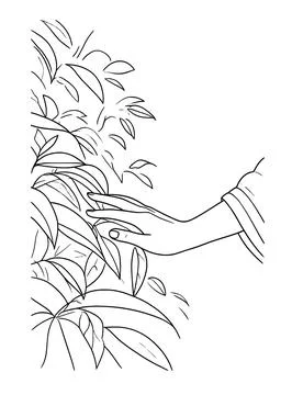 Printable botanical line drawing of leaves and hand for adult relaxation colorin Illustrazione stock