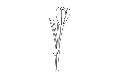 Printable decorative crocus flower concept for card ornament Stock Illustration