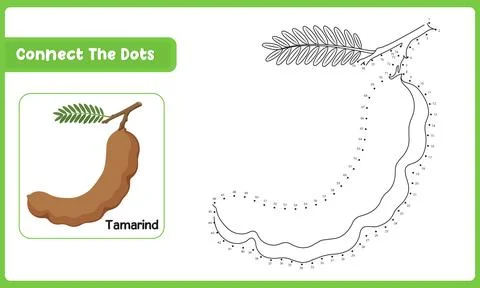 Printable kindergarten activity featuring a tamarind dot to dot puzzle and .. Stockillustratie