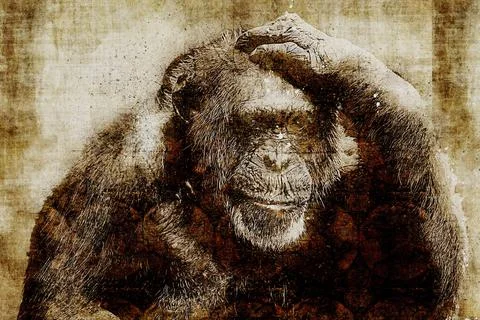 Printable of wild animals with vintage effect Stock Illustration
