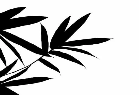 PrintBamboo Leaf Design  Illustrazione stock