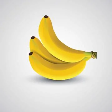 Printfresh banana fruit isolated in white background Stock Illustration