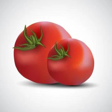 Printfresh tomatoes isolated white background. vector illustration Stock Illustration