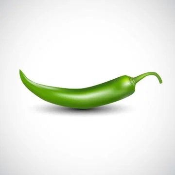 Printfresh tomatoes isolated white background. vector illustration fresh gree Stock Illustration