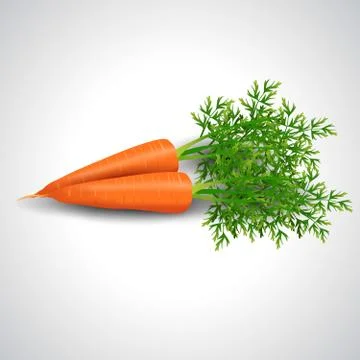 Printfresh tomatoes isolated white background. vector illustration fresh carr Stock Illustration