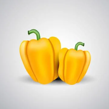 Printfresh yellow capcicam isolated white background. vector illustration Stock Illustration