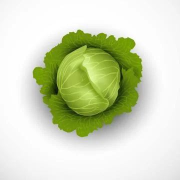 Printfresh yellow capcicam isolated white background. vector illustrationfres Stock Illustration