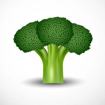 Printfresh yellow capcicam isolated white background. vector illustrationfres Stock Illustration