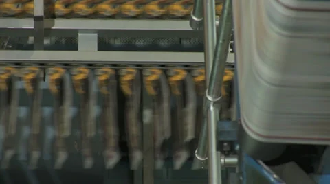Printing Press Convayor 15 Stock Footage 30221705