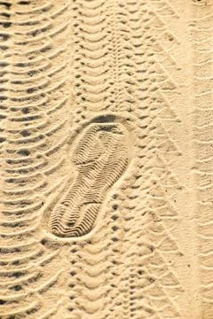 Prints in the Sand Stockfoto's