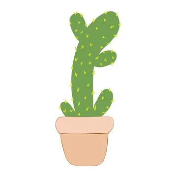PrintVector cactus. exotic plants. Decorative natural elements isolated on wh Stock Illustration