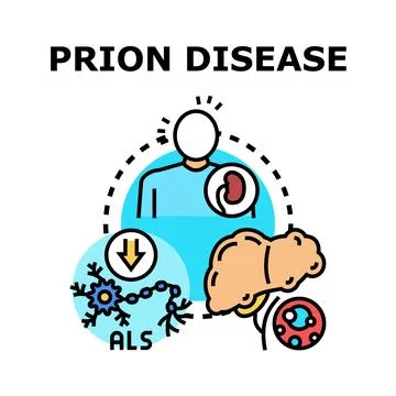 Prion disease affecting human brain and nervous system Stock-Illustration