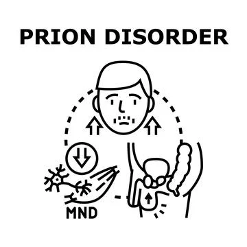Prion disorder affecting human brain and nervous system Stock Illustration