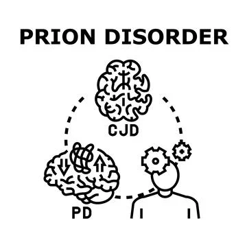 Prion disorder impacting human brain health concept Stock Illustration