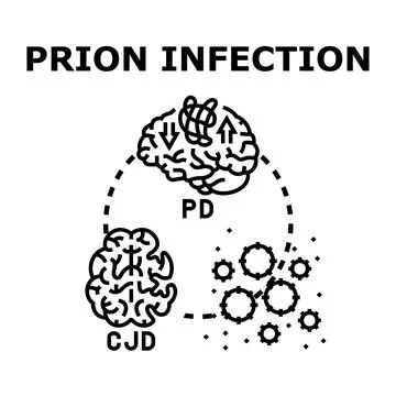 Prion infection affecting brain and neurological system Stock Illustration