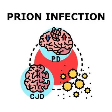 Prion infection affecting brain and neurological system Stock Illustration