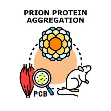 Prion protein aggregation causing neurological and health damage Stock Illustration