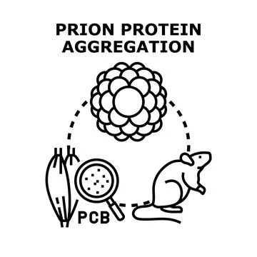 Prion protein aggregation causing neurological and health damage Stock Illustration