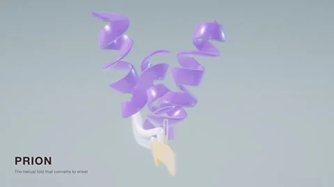Prion protein misfolding structure rotating molecular model loop Stock Footage 343822351