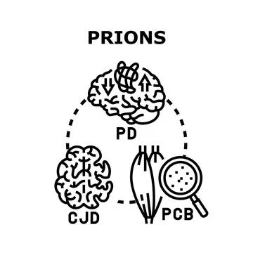 Prions causing neurodegenerative diseases vector illustration Stock Illustration
