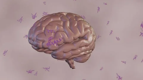 Prions protein molecules scattered in the human brain Stock Footage 252699346
