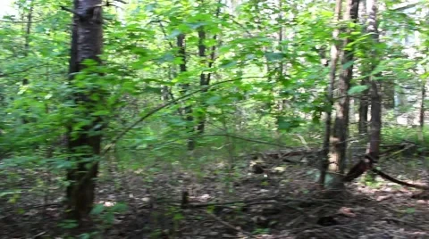 Pripyat. Kindergarten. Ghost Stock Footage 64351890