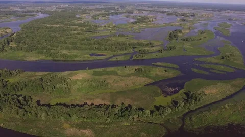 Pripyat River Delta. Ukraine Stock Footage