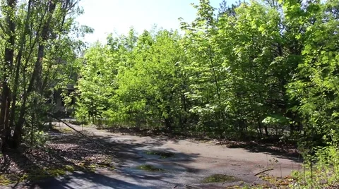Pripyat. School Number 1 Stock Footage 64351688