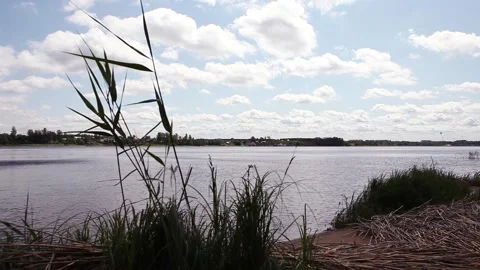 Priroda ladozskiy most Stock Footage 169632927