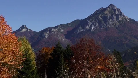 Príslop Video stock 83034331