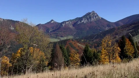 Príslop Stock Footage 83063977