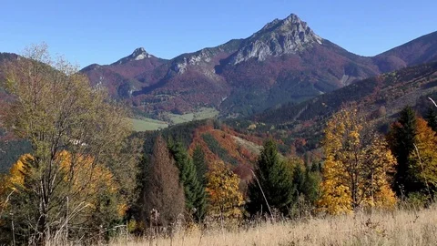 Príslop Video stock 83063994