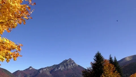 Príslop Stock Footage 83064129