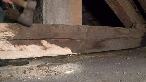 Prism infested with wood-destroying insects Stock Footage 147616541