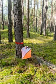 A prism marker and electronic composter at an orienteering control point Stock Photos