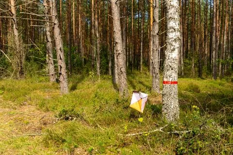 A prism marker and electronic composter at an orienteering control point Stock Photos