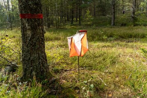 A prism marker and electronic composter at an orienteering control point Stock-Fotos