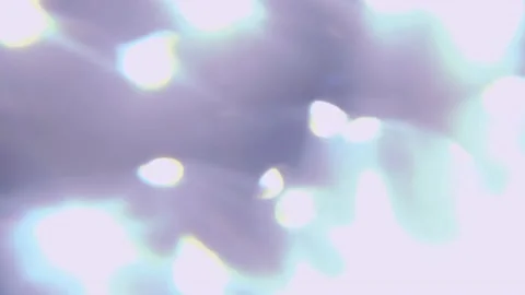 Prism rainbow lens flare Stock Footage 148491068
