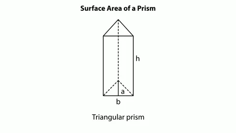 Prism Surface Area Formulas Displayed Stock Footage 318282855
