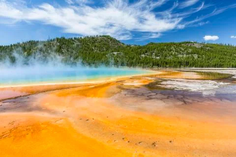 Prismatic Spring Swirls Stock Photos