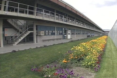 Prison 22 库存影片 333623