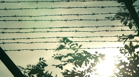 Prison with a barbed wire fence  Stock Footage 54675405