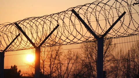 Prison barbed wire fence at sunset. Bright sun and trees silhouette freedom 4k Stock Footage