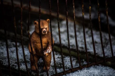 Prison bear 库存照片